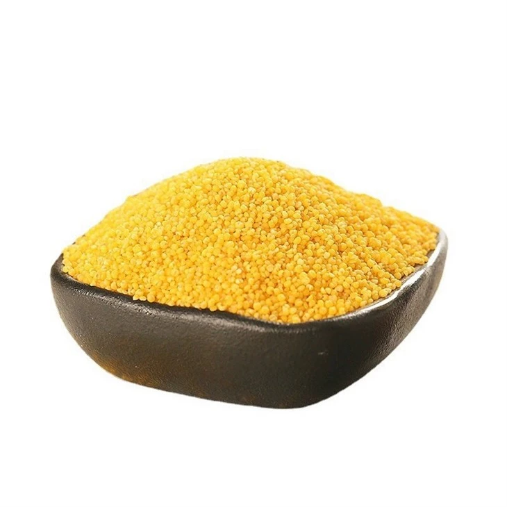 Yellow Foxtail Millet factory